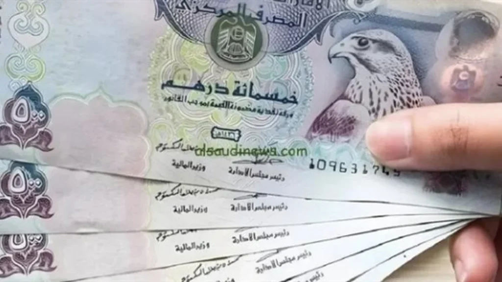 سعر الدرهم الإماراتي.. استقرار ملحوظ أمام الجنيه المصري في تعاملات الإثنين بمصر